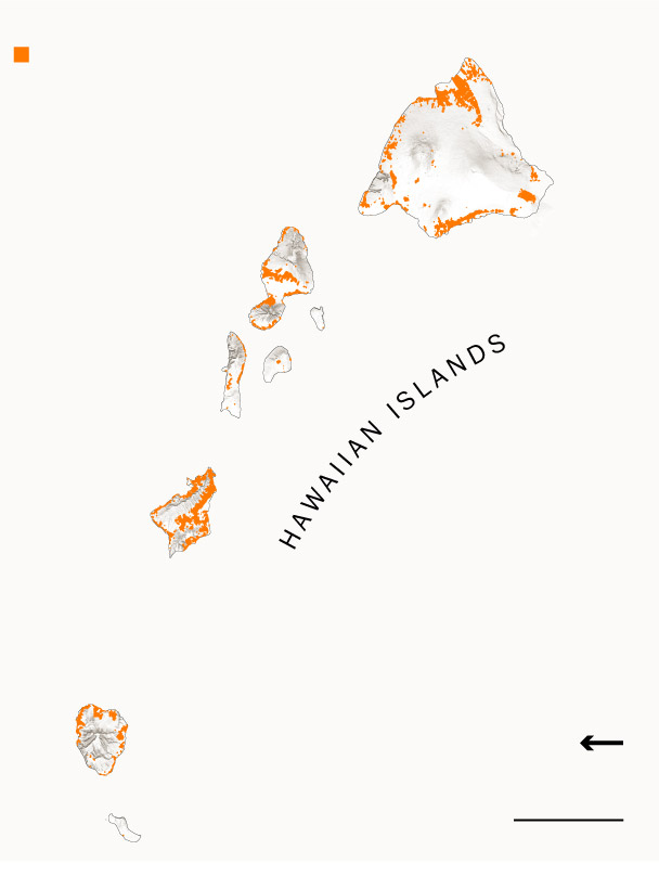 Maui’s unmanaged invasive grasslands strengthened the Lahaina fires