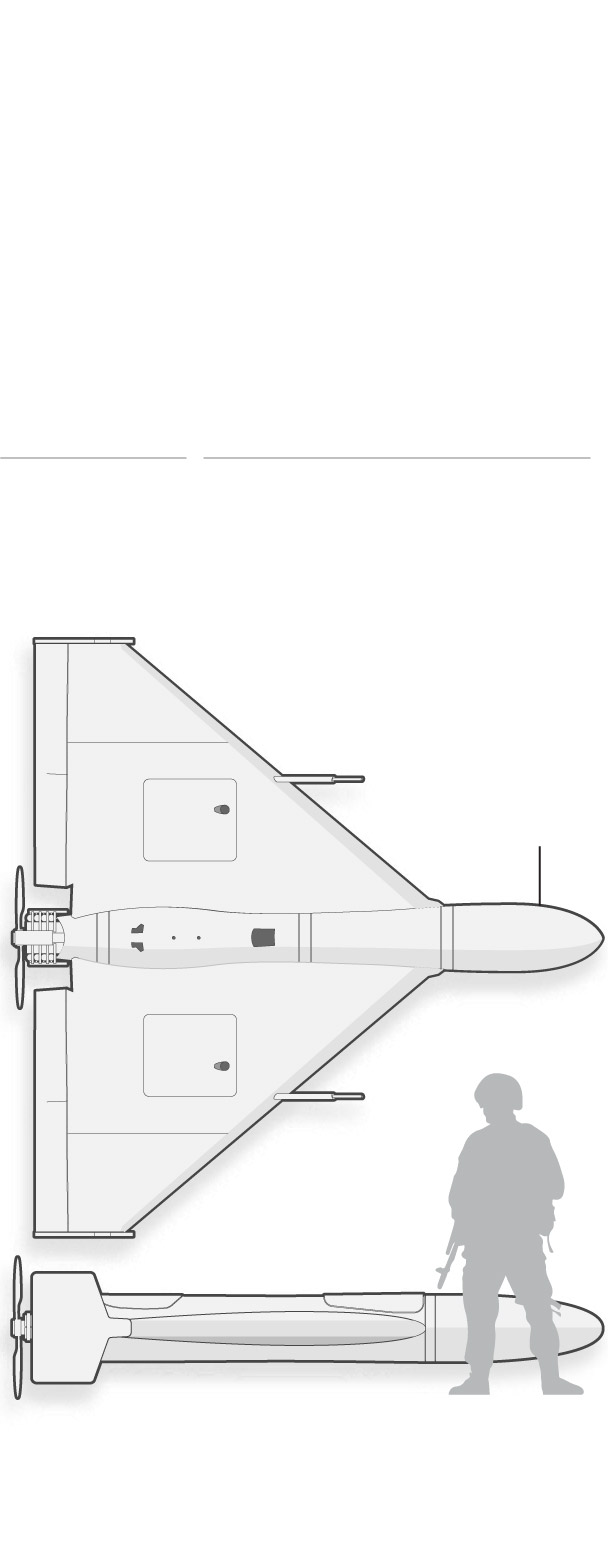 Shahed drone