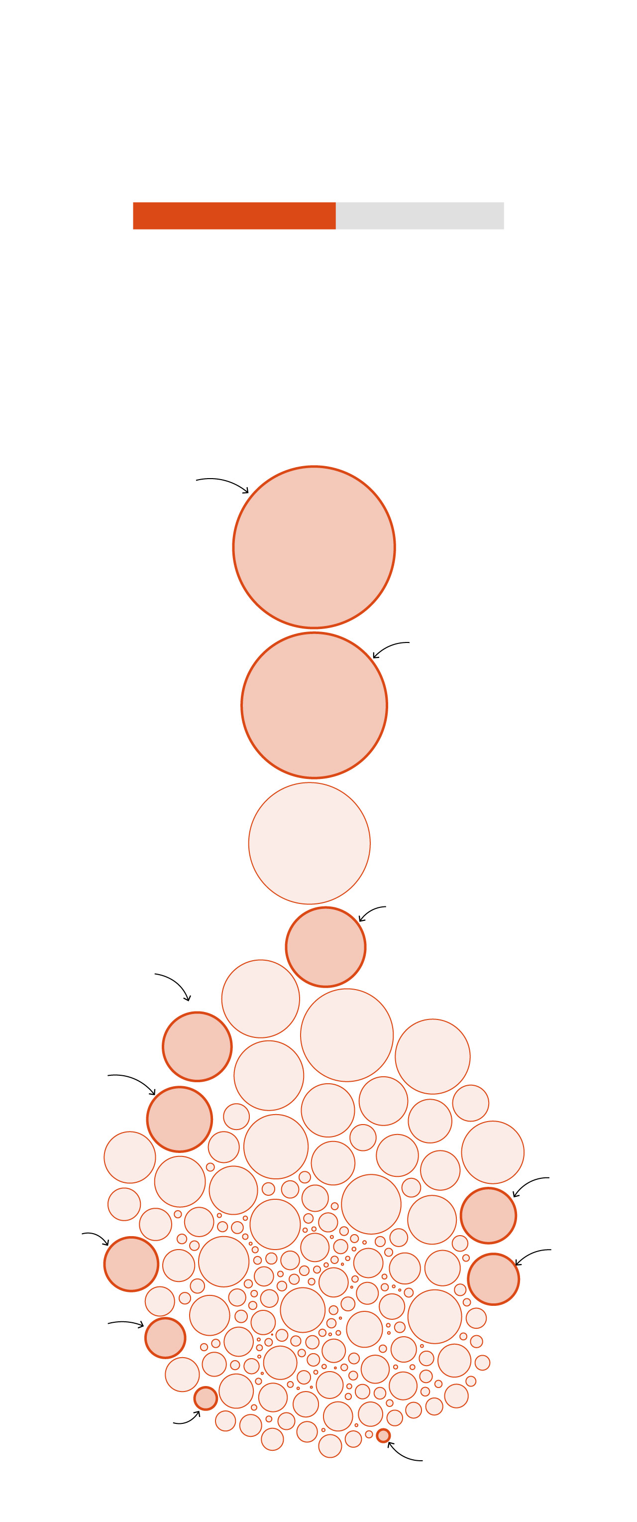 How ‘carbon cowboys’ are cashing in on protected Amazon forest How ‘carbon cowboys’ are cashing in on protected Amazon forest