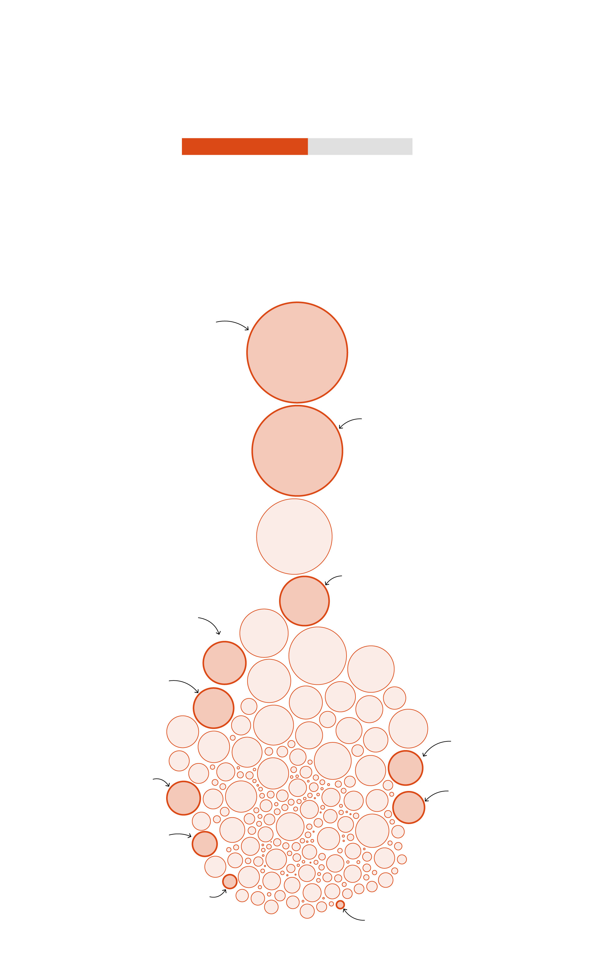 How ‘carbon cowboys’ are cashing in on protected Amazon forest How ‘carbon cowboys’ are cashing in on protected Amazon forest