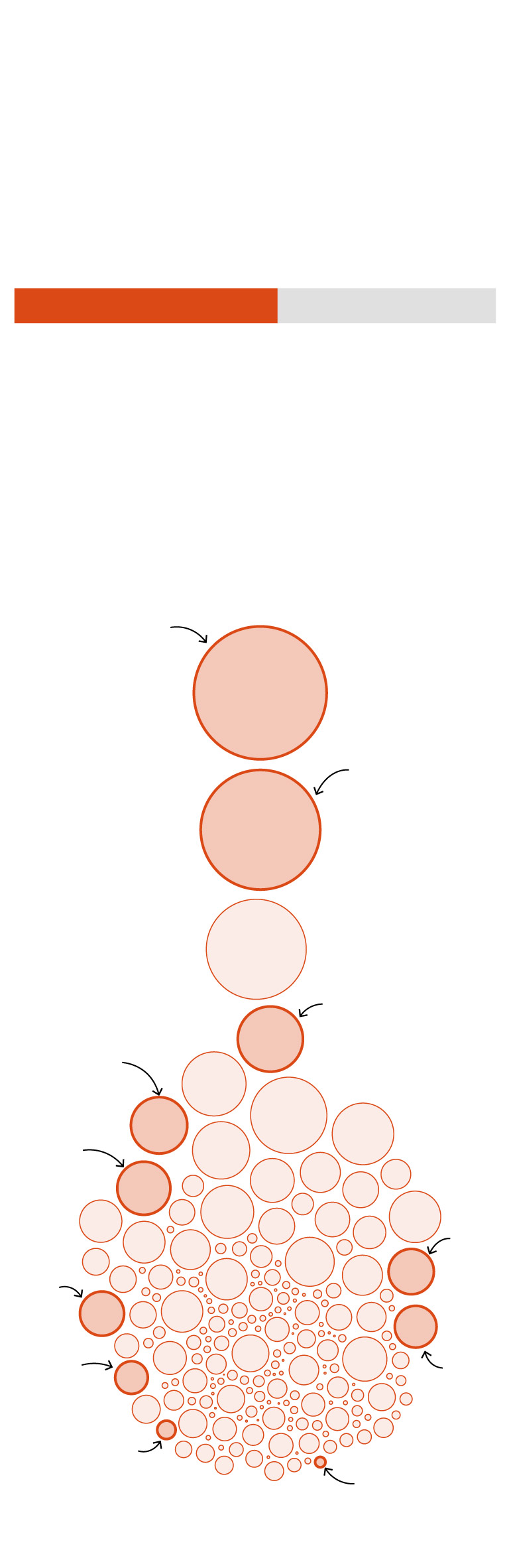 How ‘carbon cowboys’ are cashing in on protected Amazon forest How ‘carbon cowboys’ are cashing in on protected Amazon forest