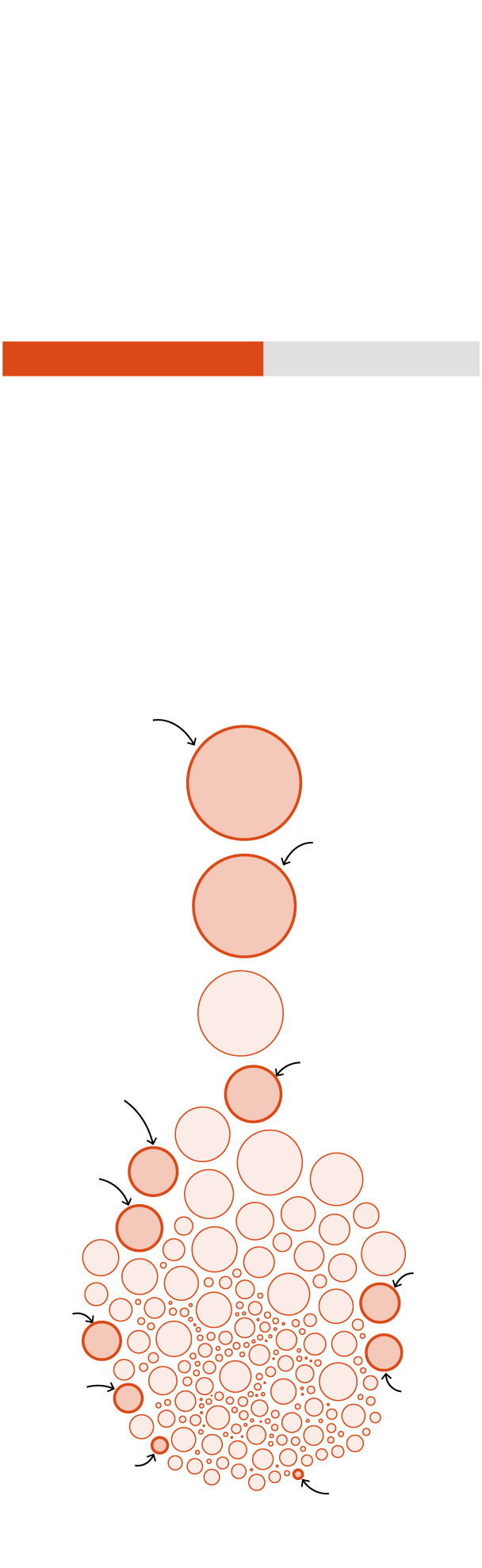 How ‘carbon cowboys’ are cashing in on protected Amazon forest How ‘carbon cowboys’ are cashing in on protected Amazon forest