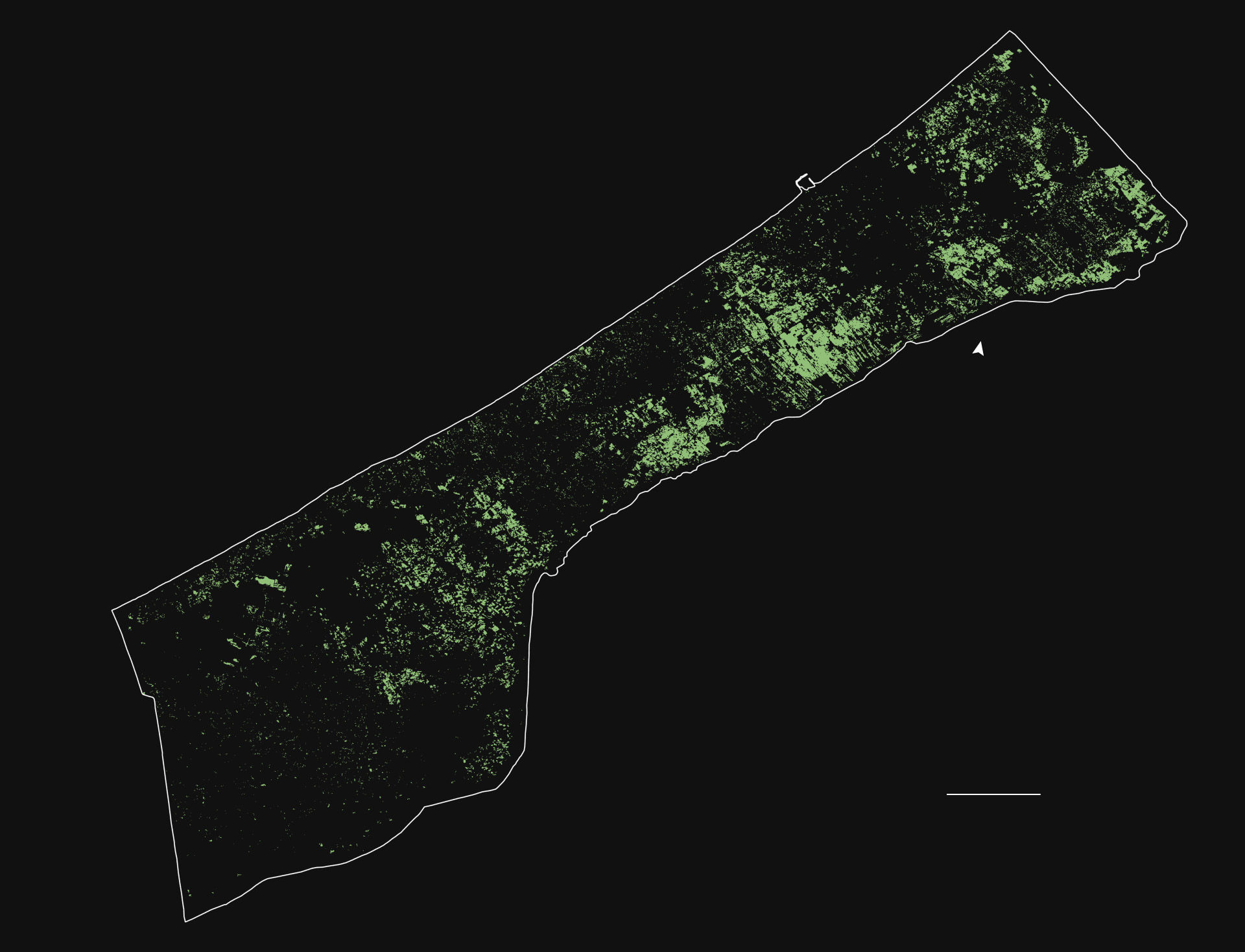 fullmap trees ll Artboard 57