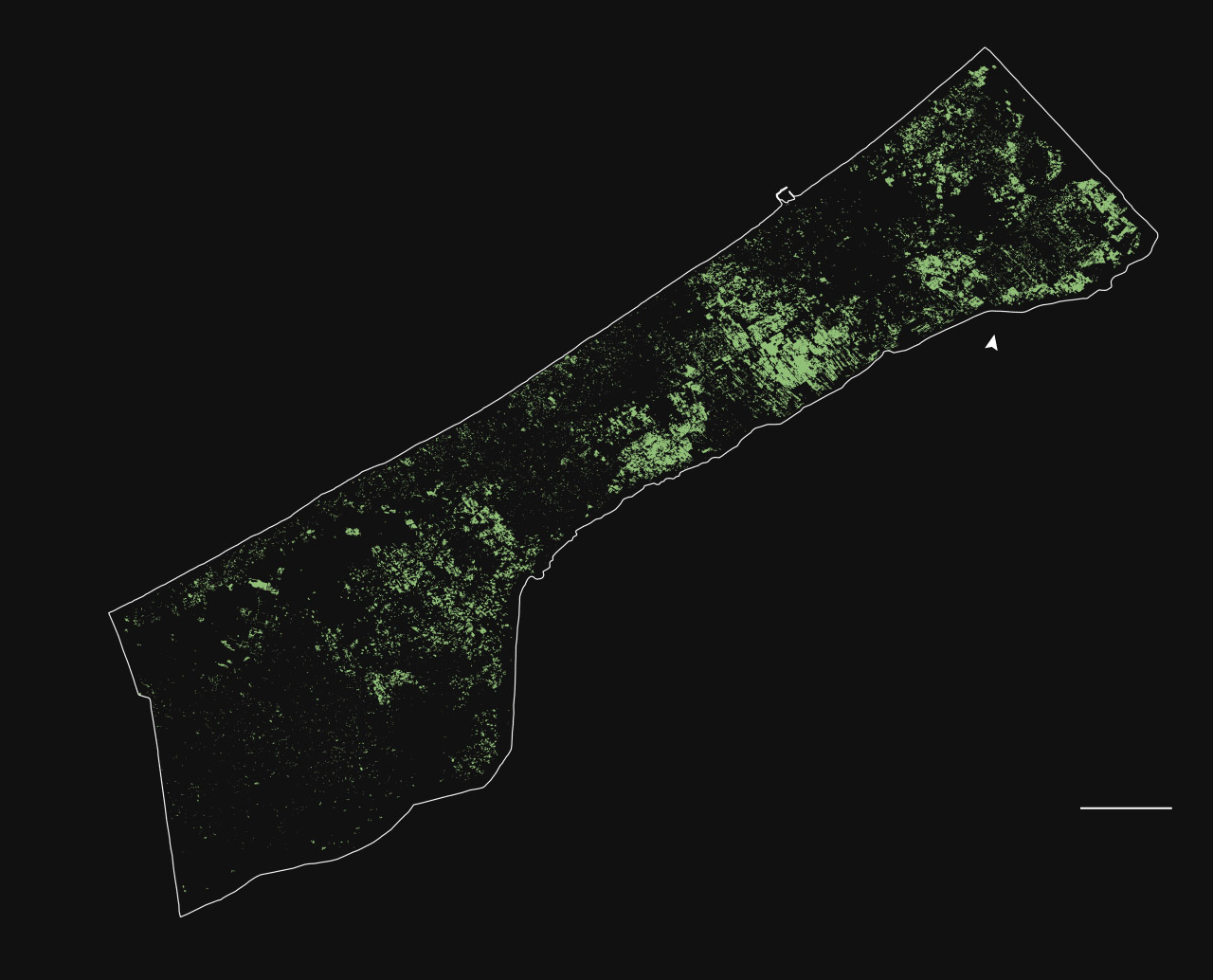 fullmap trees ll medium