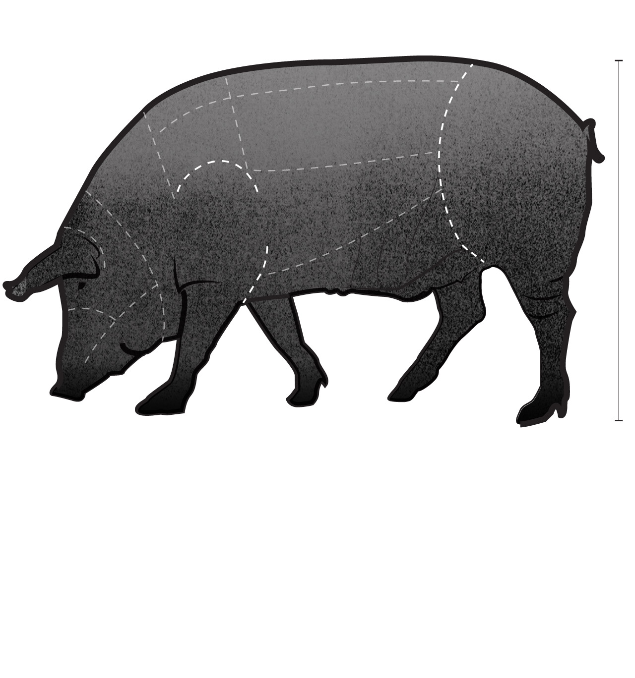 Spanish jamón is the champagne of pork. Here are the basics of handling ...