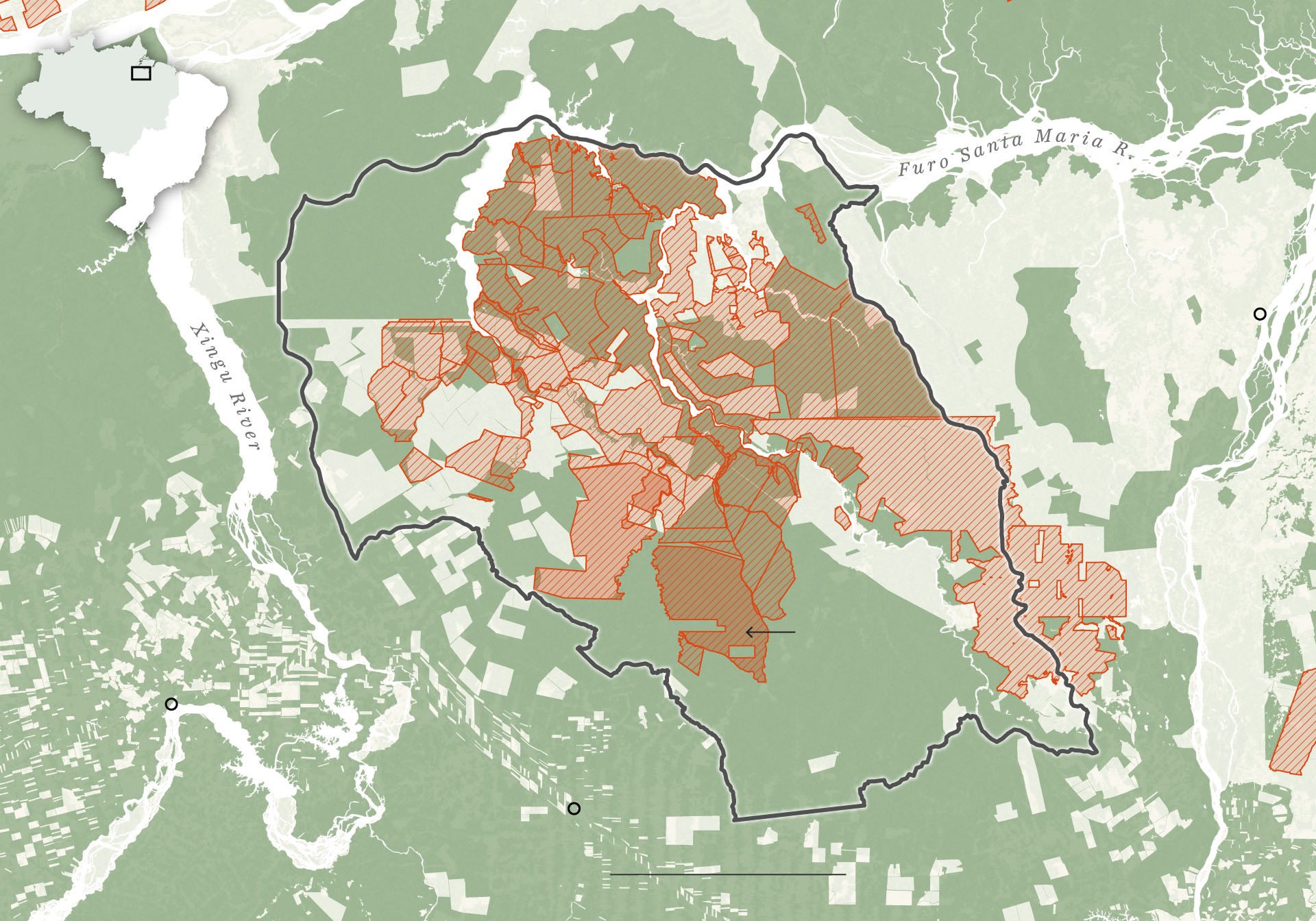 How ‘carbon cowboys’ are cashing in on protected Amazon forest How ‘carbon cowboys’ are cashing in on protected Amazon forest