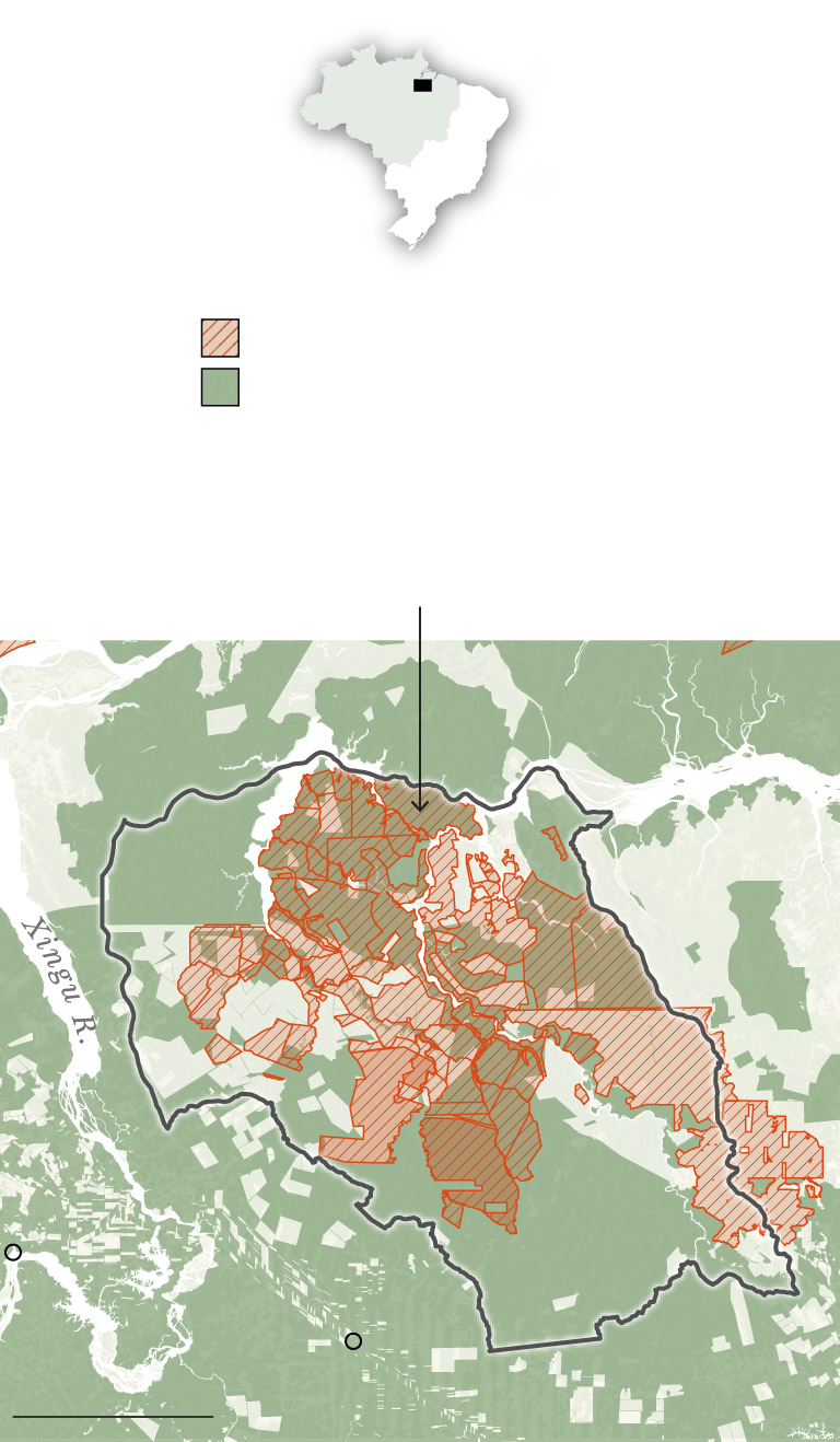 How ‘carbon cowboys’ are cashing in on protected Amazon forest How ‘carbon cowboys’ are cashing in on protected Amazon forest