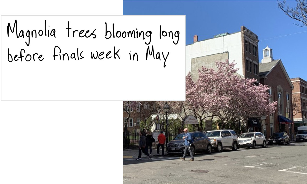 Analysis | See how much earlier spring arrives in your city with our ...
