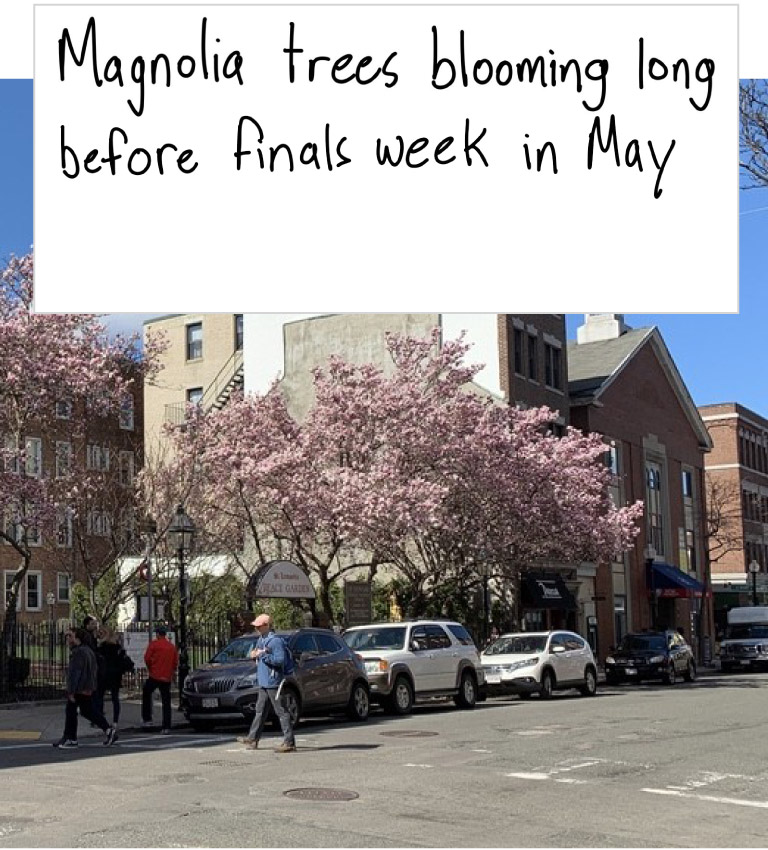 Analysis | See how much earlier spring arrives in your city with our ...